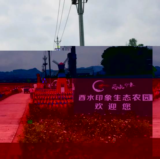 圖片 圖片